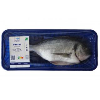 Dorade ganz, küchenfertig - ca. 400 g