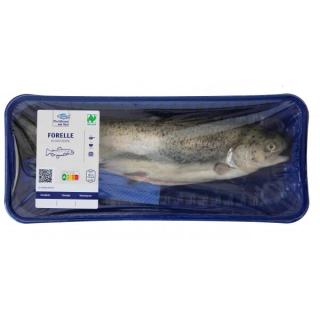 Forelle ganz, küchenfertig - ca. 350 g